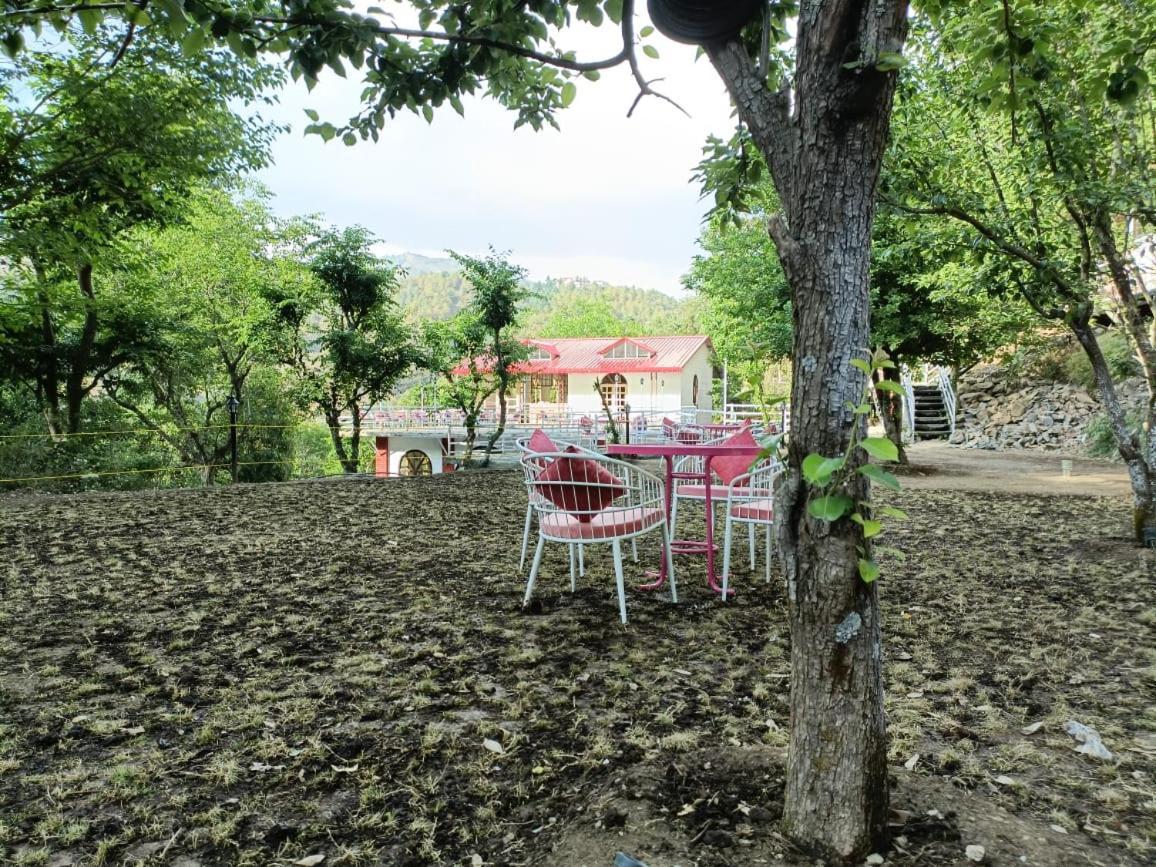 Aaroham Resort, Shimla Luaran gambar