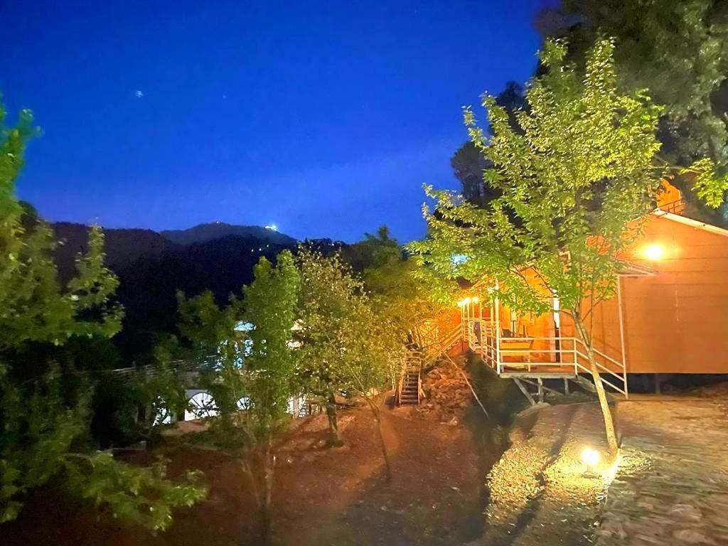 Aaroham Resort, Shimla Luaran gambar