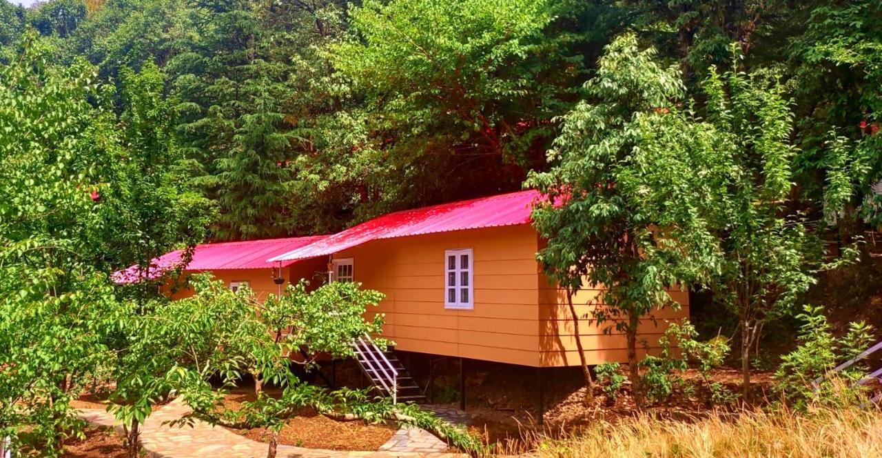 Aaroham Resort, Shimla Luaran gambar